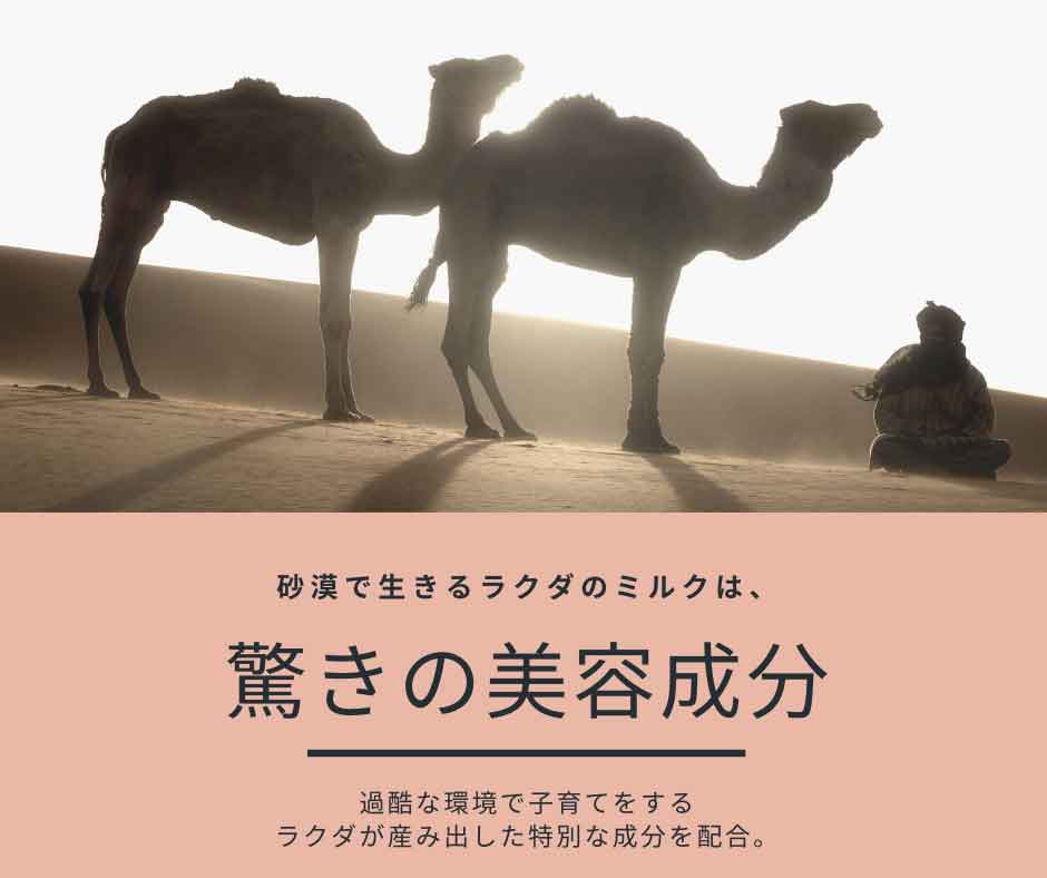 ラクダのミルクの美容成分とは？
