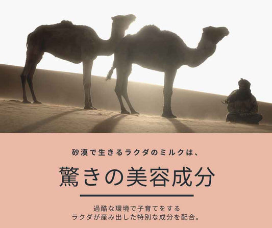 ラクダのミルクの美容成分とは？