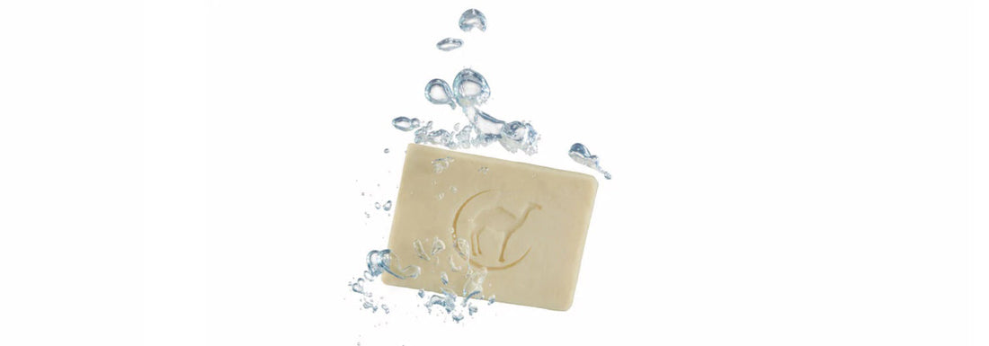 THE CAMEL MILK SOAP FACTORY の創業秘話（前編）